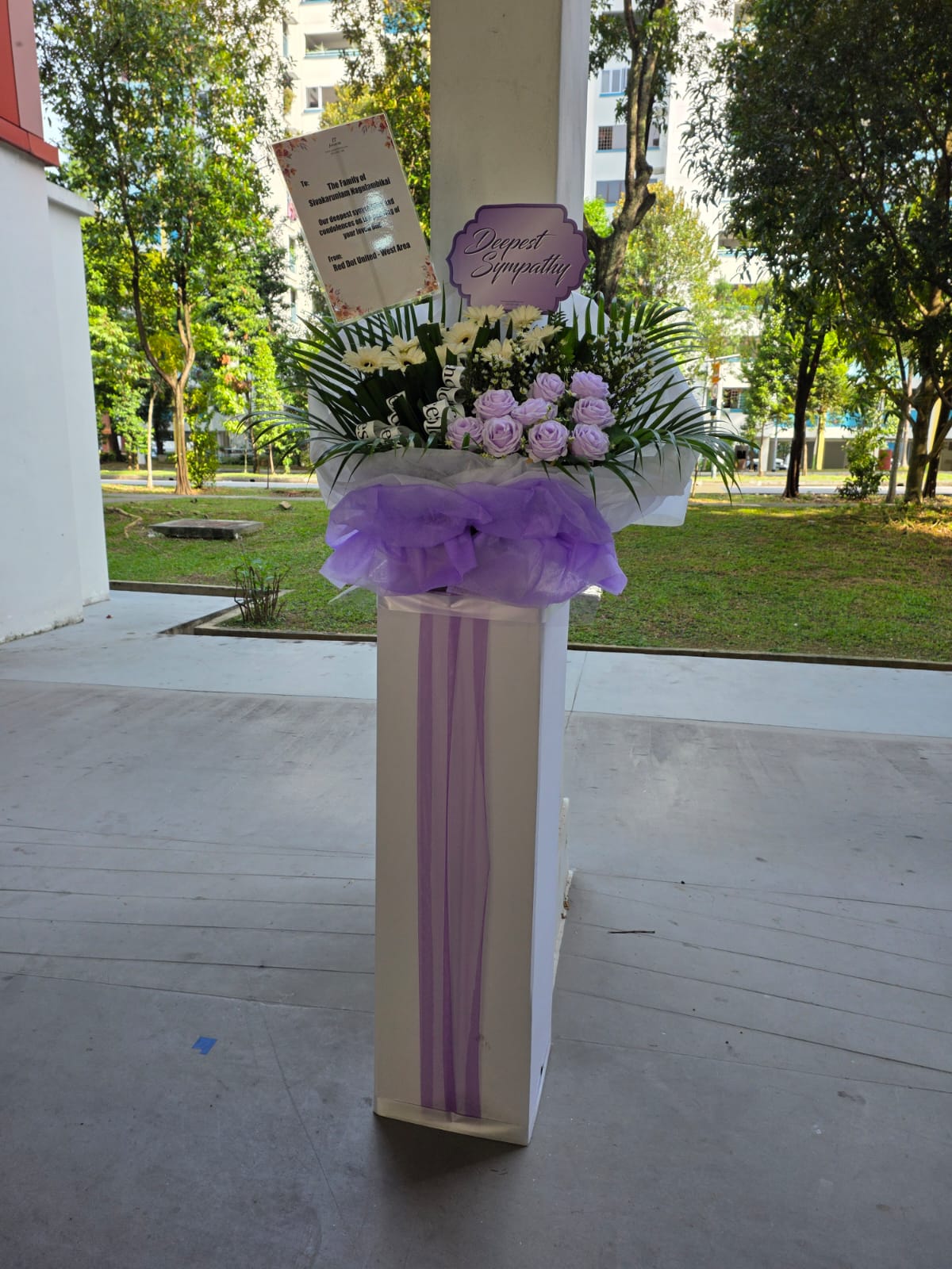 WhatsApp Image 2026-01-22 at 7.29.26 AM (1)