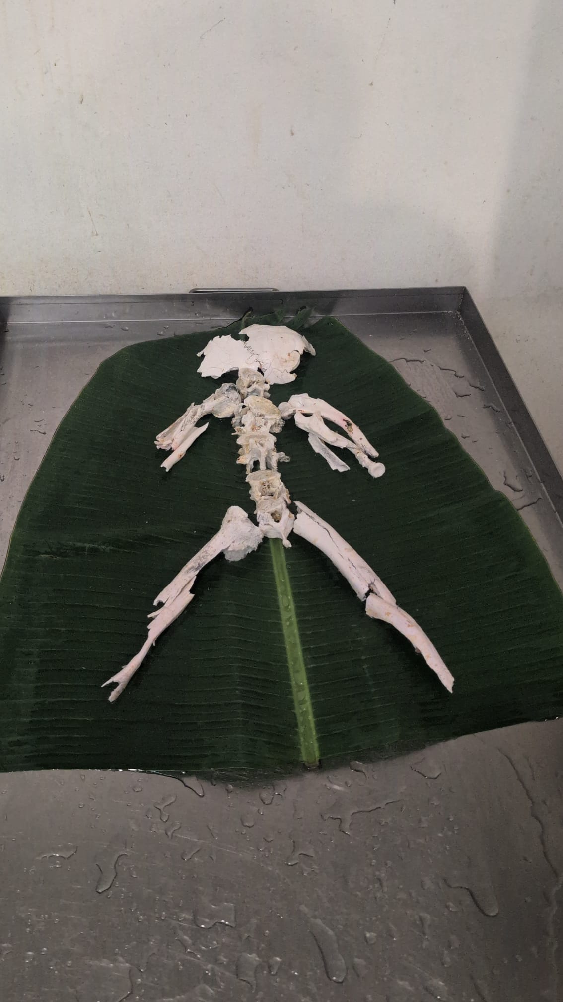 WhatsApp Image 2026-01-23 at 11.40.46 AM